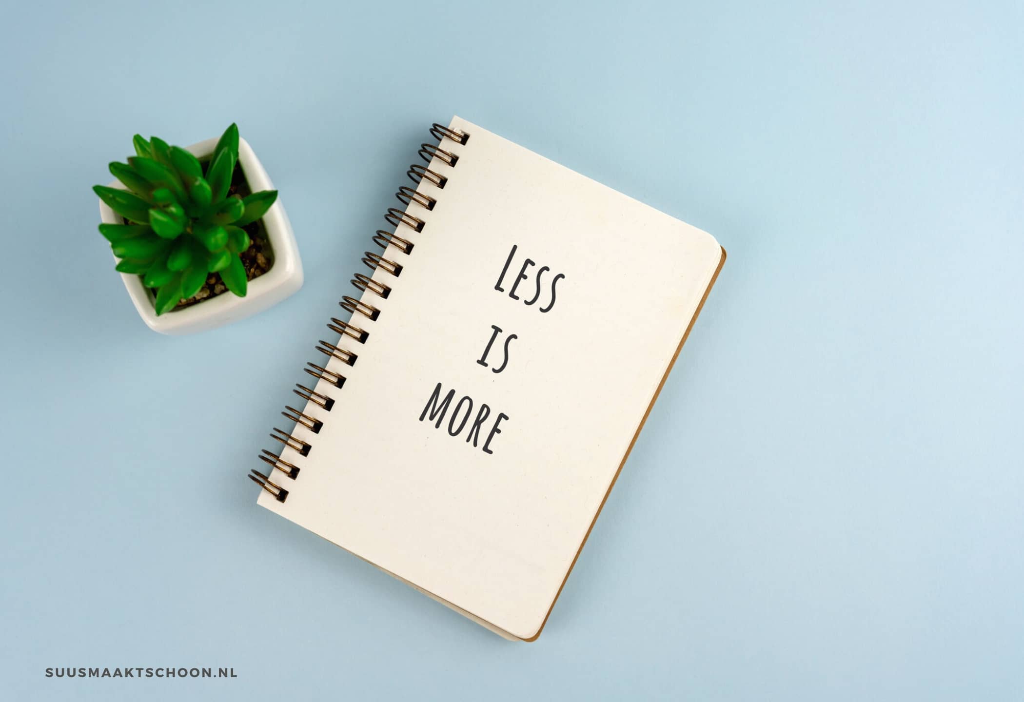 een notitieboekje en een potplant: opruimwoede