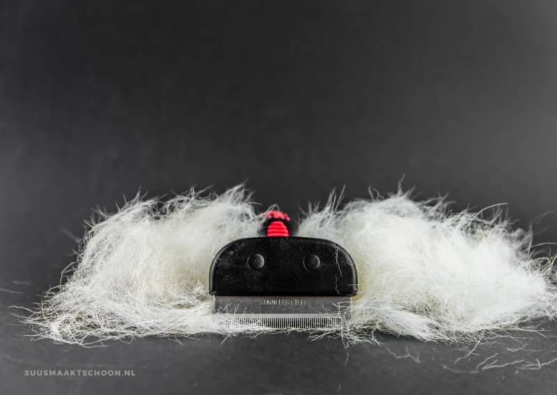 hondenhaar uit de auto