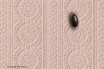 pissebedden in huis: pissebed op roze retro behang