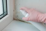vochtproblemen in huis: een persoon die een witte spuitfles spuit op een beschimmelde muur