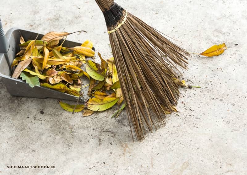 Groene aanslag verwijderen in de winter