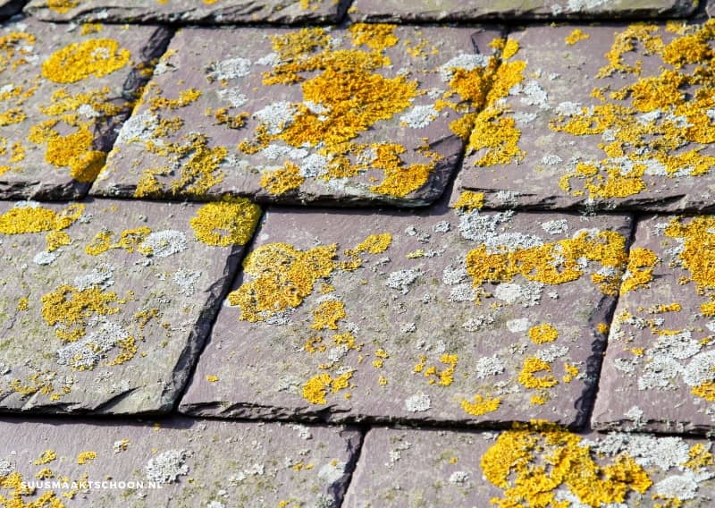 niet groene aanslag verwijderen in de winter