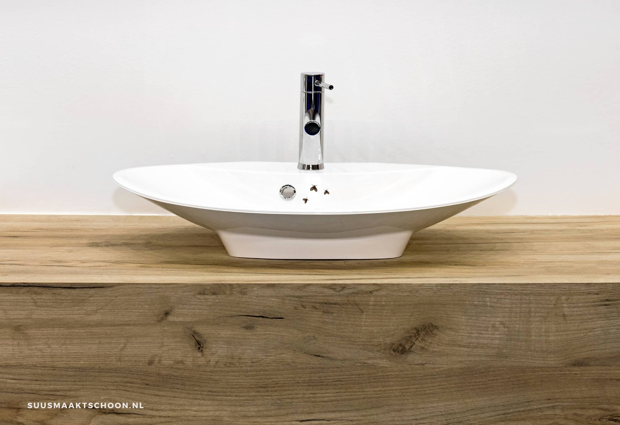 een witte spoelbak met rioolvliegjes in huis