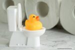 zelf wc eend maken: een gele badeend op een toilet