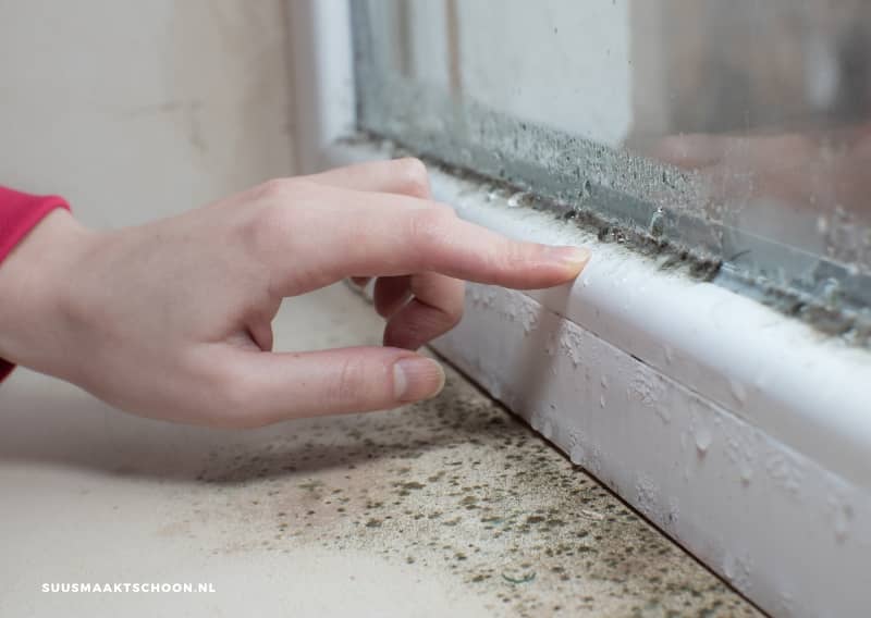 Ventilatie in huis: Vochtige schimmel op raamrand zichtbaar.