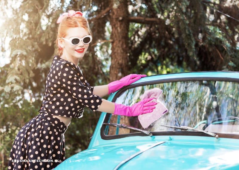 retro vrouw haalt insecten van auto